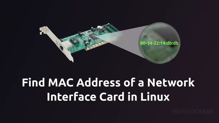 MAC Address Security and Network Management Guards Your Connected Devices
